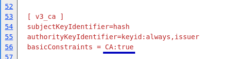 This bit controls whether a ceritifcate can be used as a CA or not.