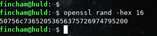 Using openssl to make a fresh key. Don't use this one, specifically.